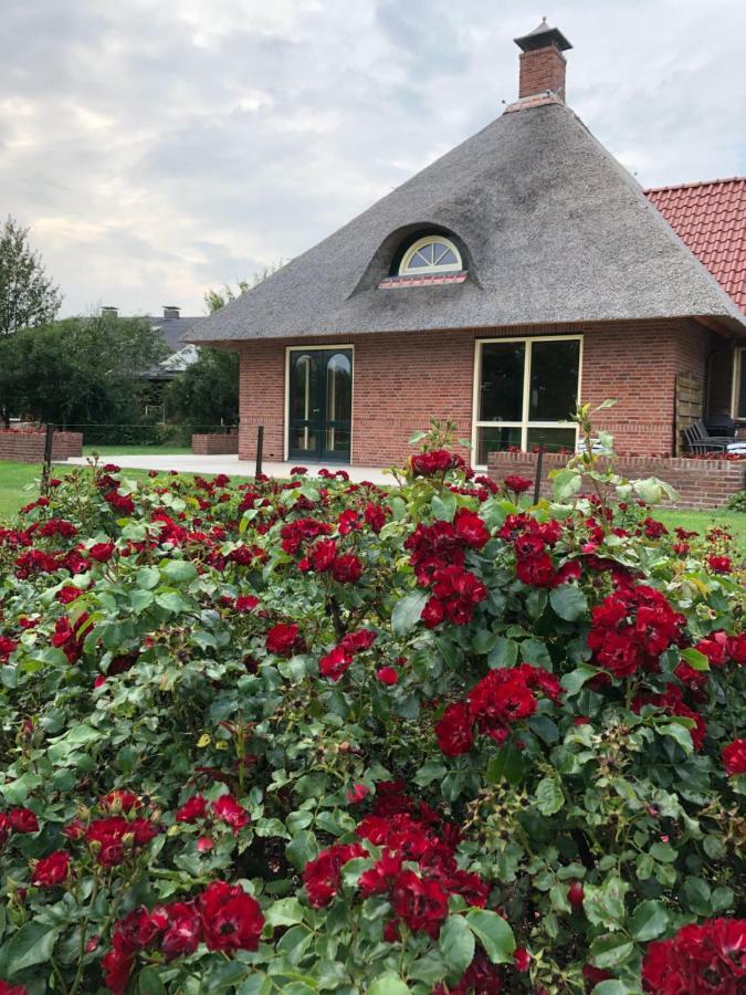 דירות Hall Landgoed De Blaauwe Blaer מראה חיצוני תמונה